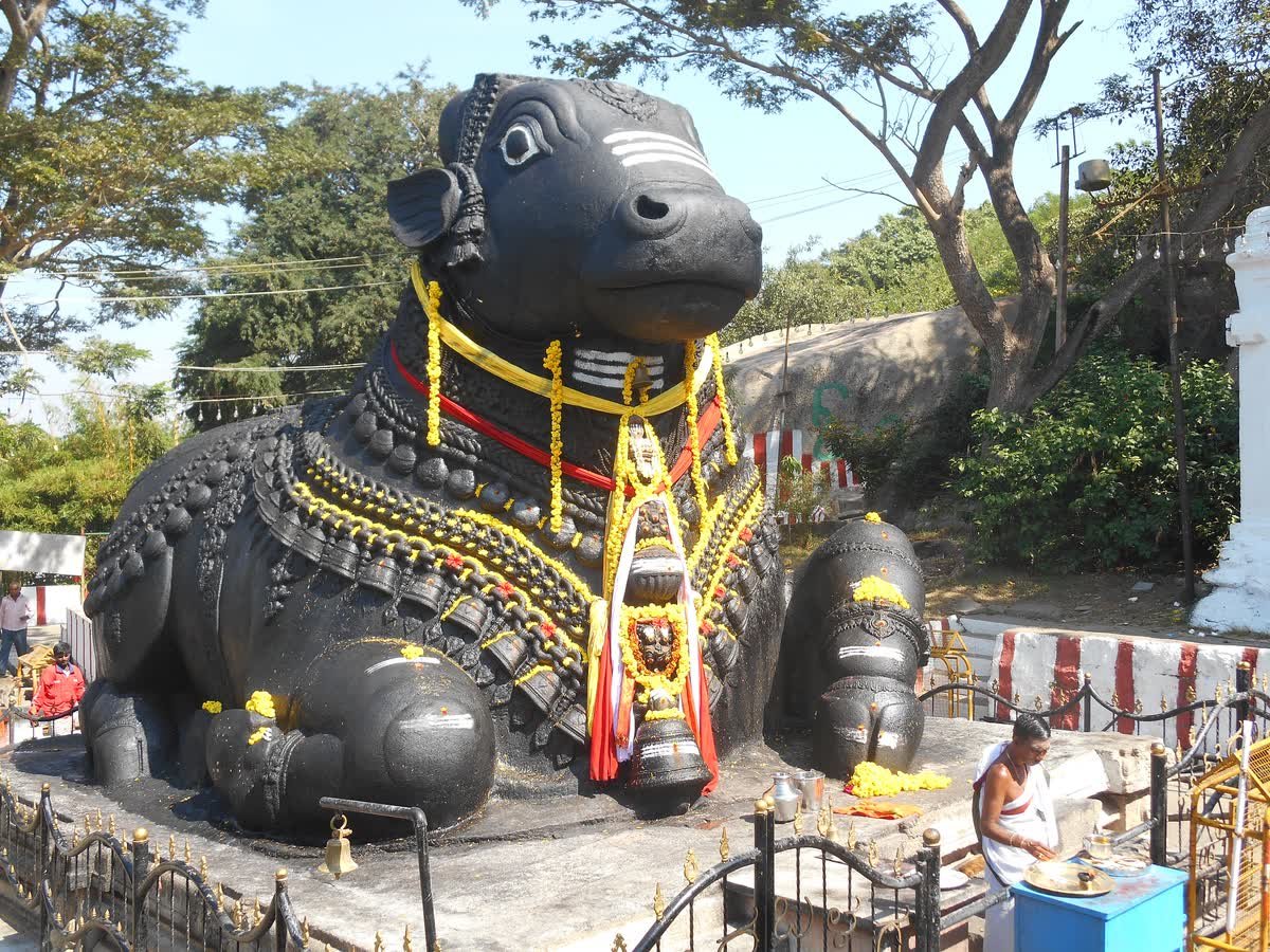 The monolithic Nandi on Chamundi Hill, garlanded, with a priest beside it