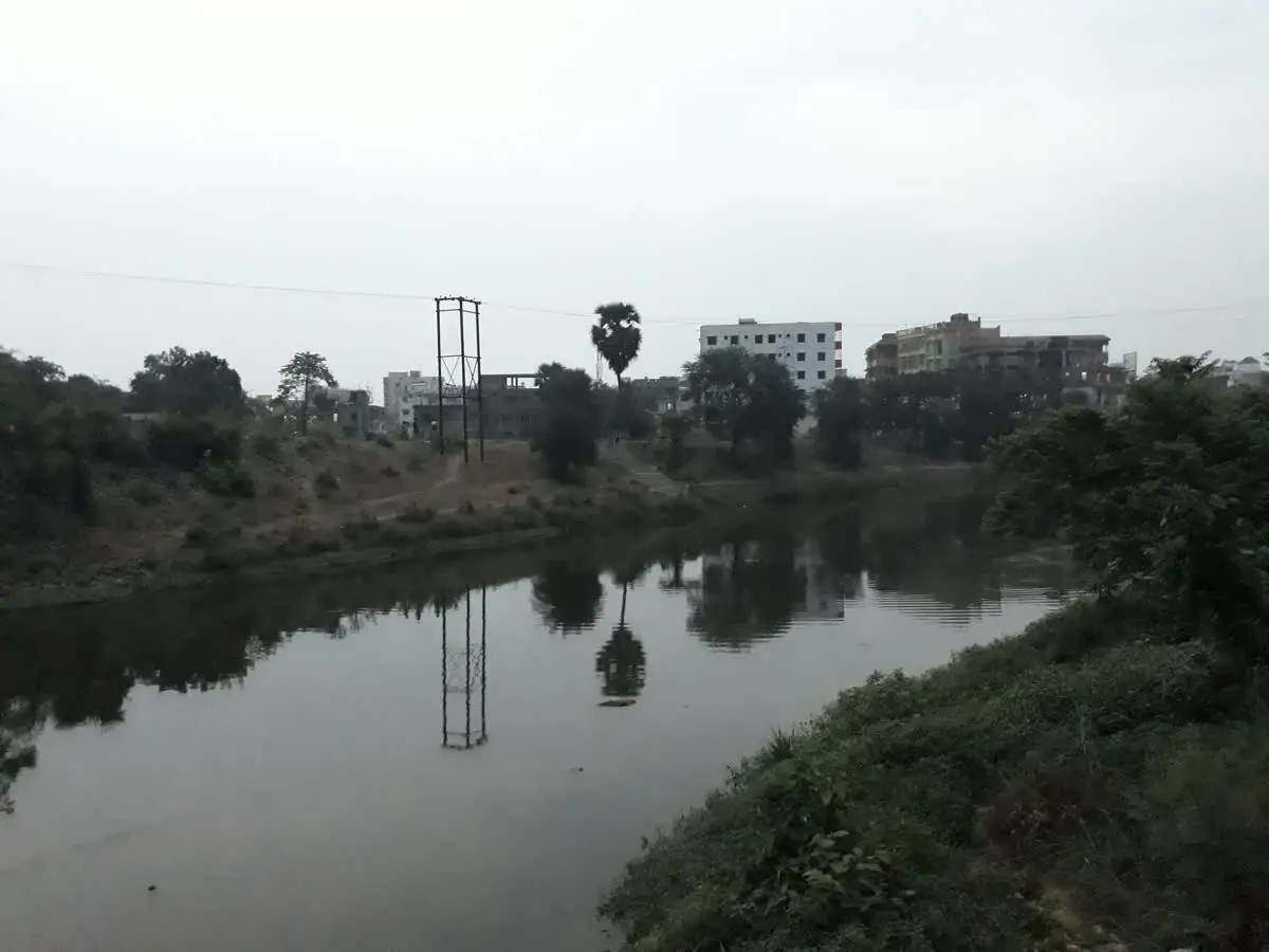 Calm Dwarka river with reflections and a palm tree beside Tarapith in Birbhum district
