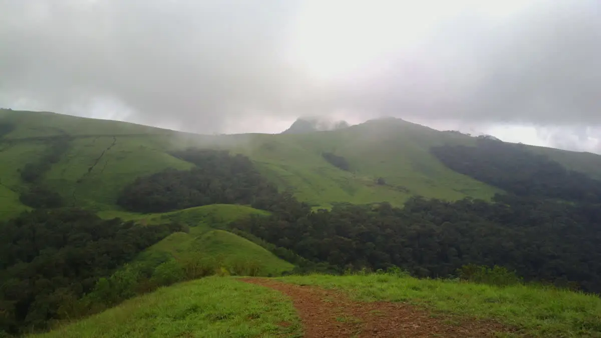 Grassy green ridges of the Kodachadri hills under low cloud in the Western Ghats